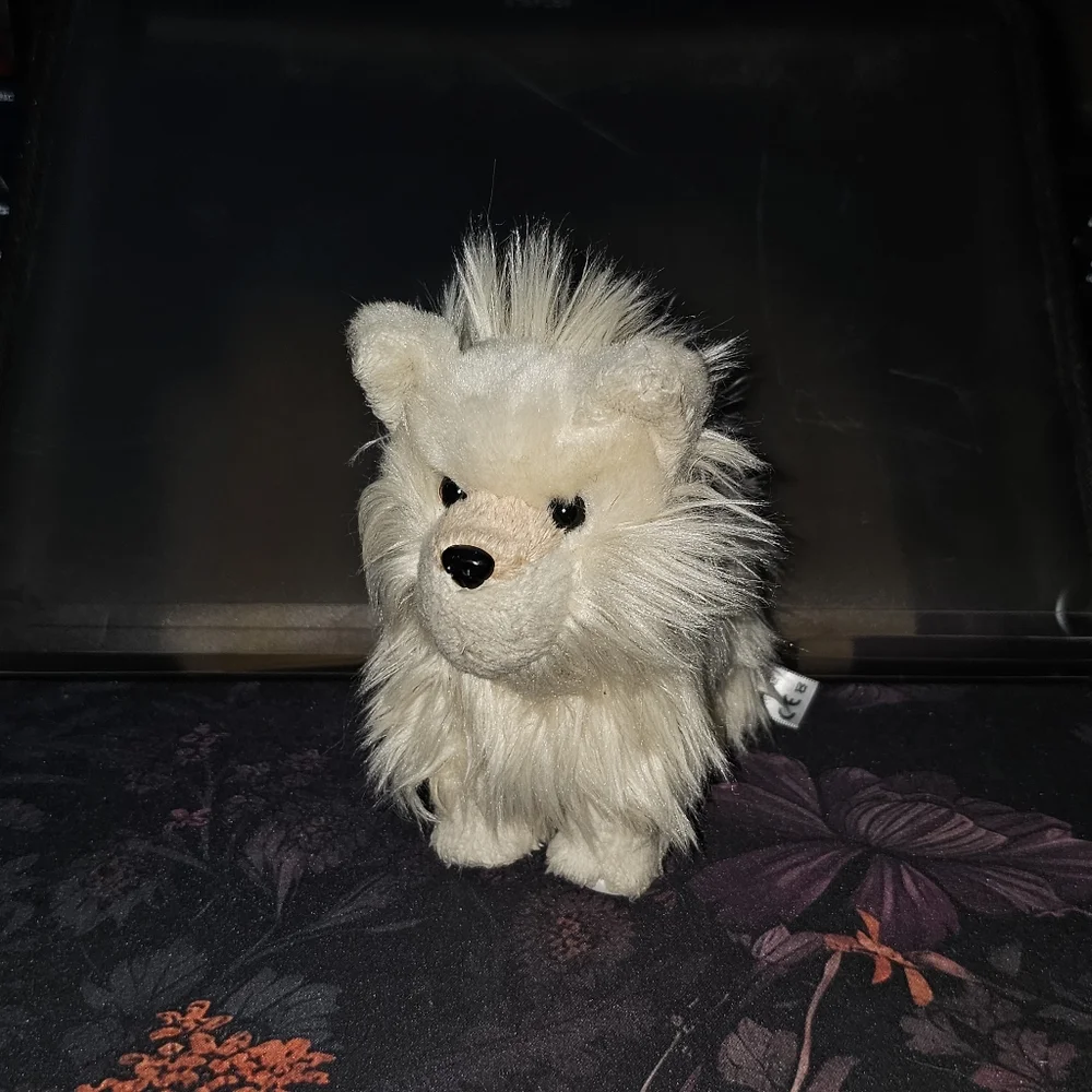 Coconut - Picture 2 of 8